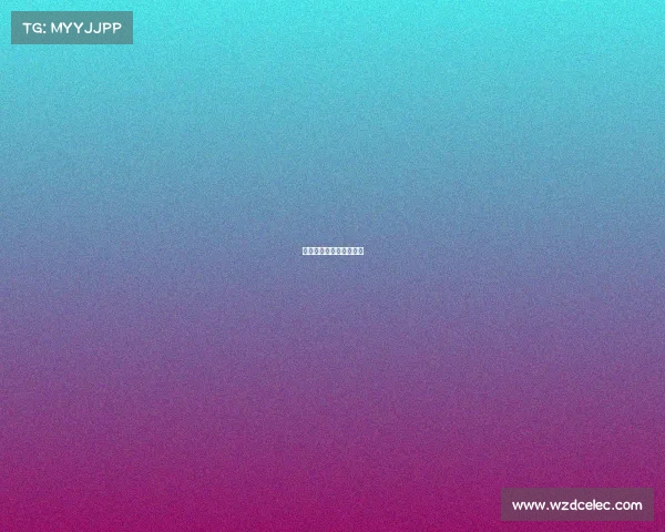 体育赛事等级划分和评定