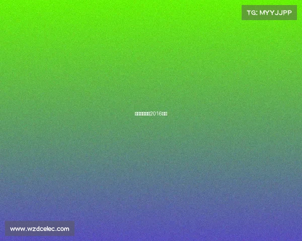 河北华夏幸福2016阵容