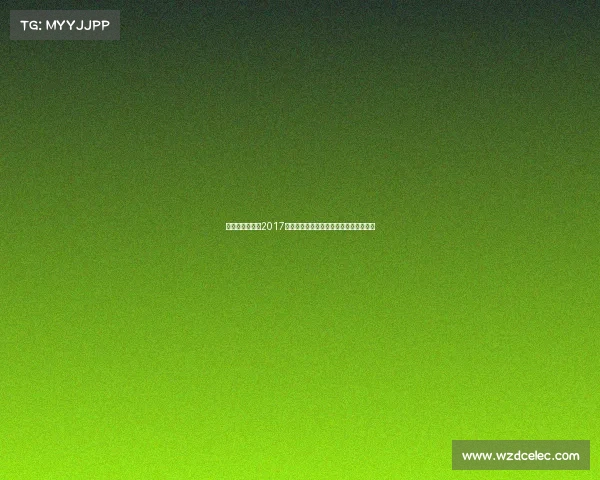 湖北女子排球队2017年征战国内外赛事奋勇拼搏铸就辉煌纪实 湖北女子排球队2017年征战国内外赛事奋勇拼搏铸就辉煌纪实