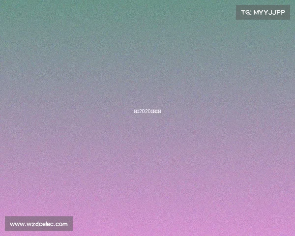 鲁能2020年足协杯