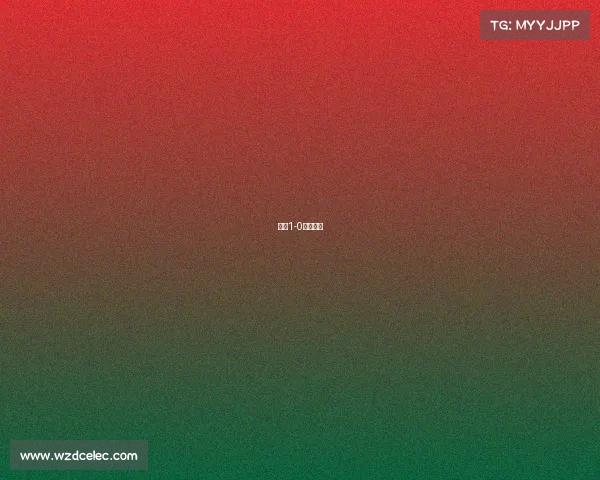 捷克1-0中国半场