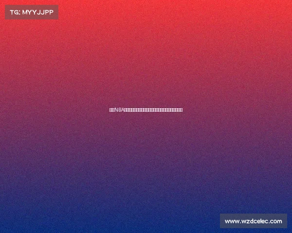 最新NBA赛事高清视频免费下载资源大全提供海量篮球比赛内容