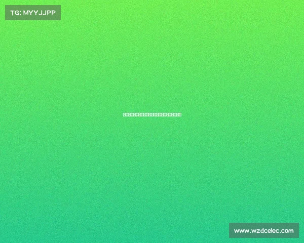 土耳其女排大战巴西女排上演巅峰对决点燃排球热情