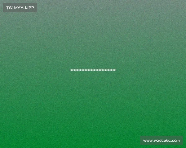 聚焦澳网王蔷比赛解析她的技术特点和赛事成绩及其对中国网坛影响 聚焦澳网王蔷比赛解析她的技术特点和赛事成绩及其对中国网坛影响